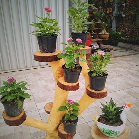 Decoração