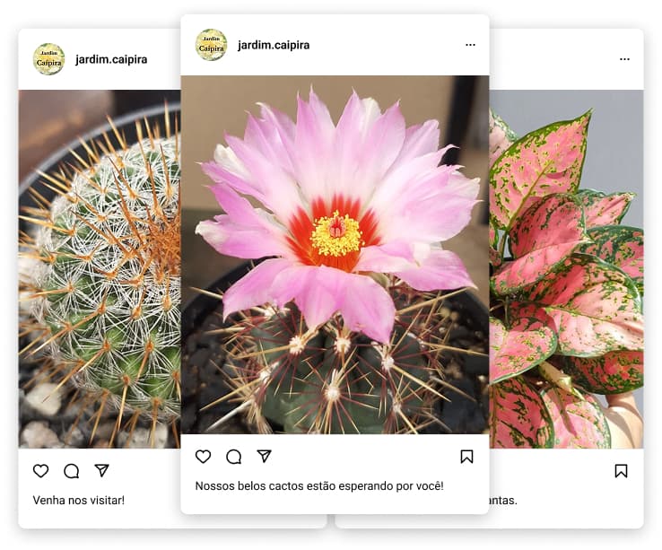 Instagram decoration